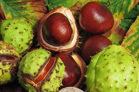 Ang mga prutas nga chestnut sa kabayo gigamit sa pagtambal sa prostatitis